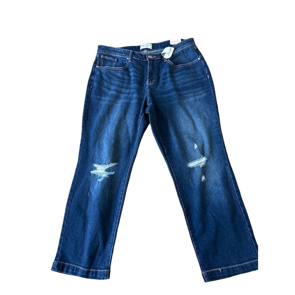 Lane Bryant Women's High Rise Jegging Jeans Blue Size M Embellished